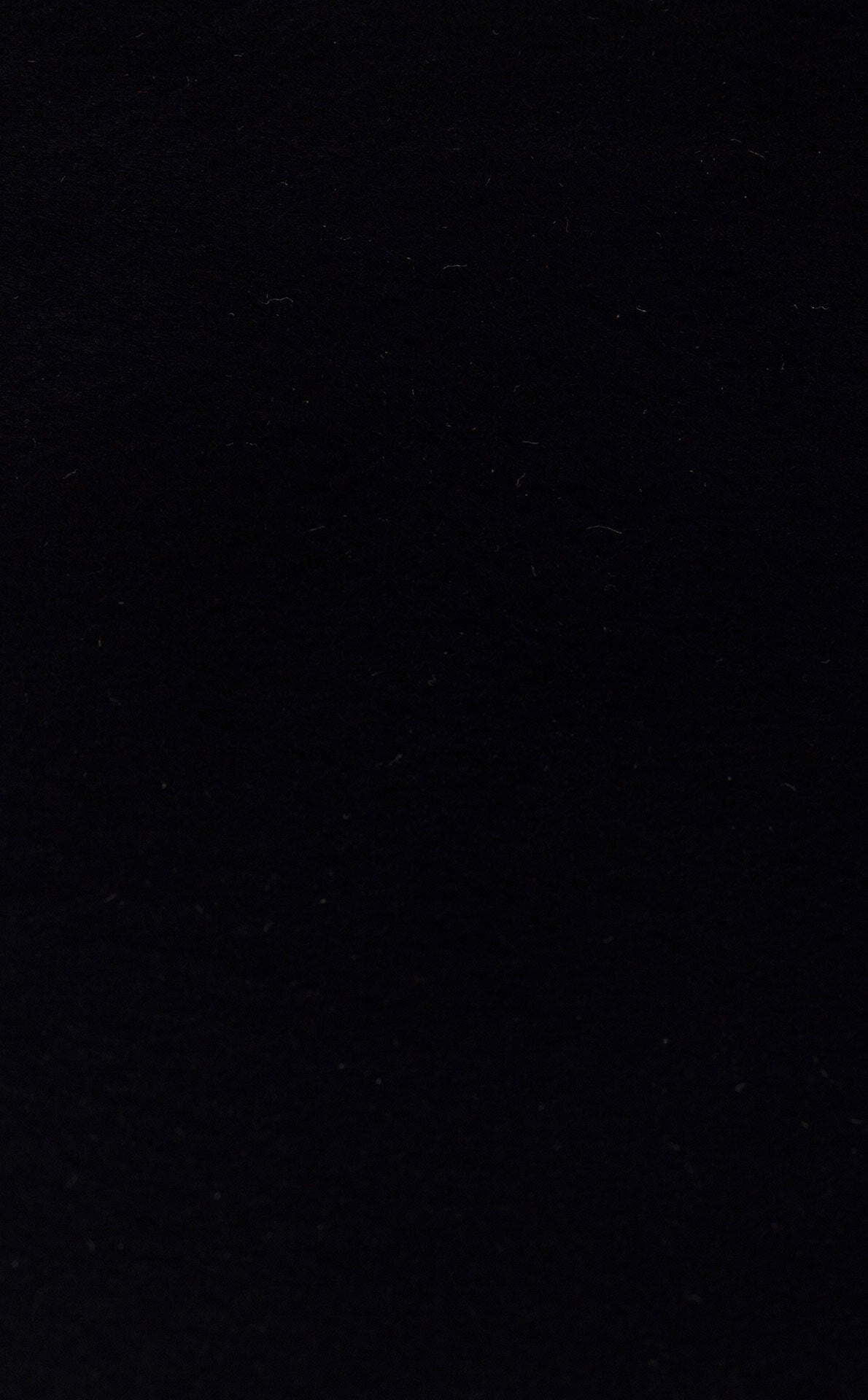 MLS BLACK QUARD N  - MOLLIS NEW - Yumuşak Dokulu Uzun Tüylü Yıkanabilir Tavşan Postu