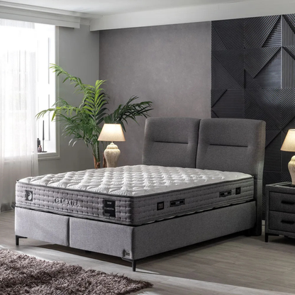 Climextra Baza & Başlık