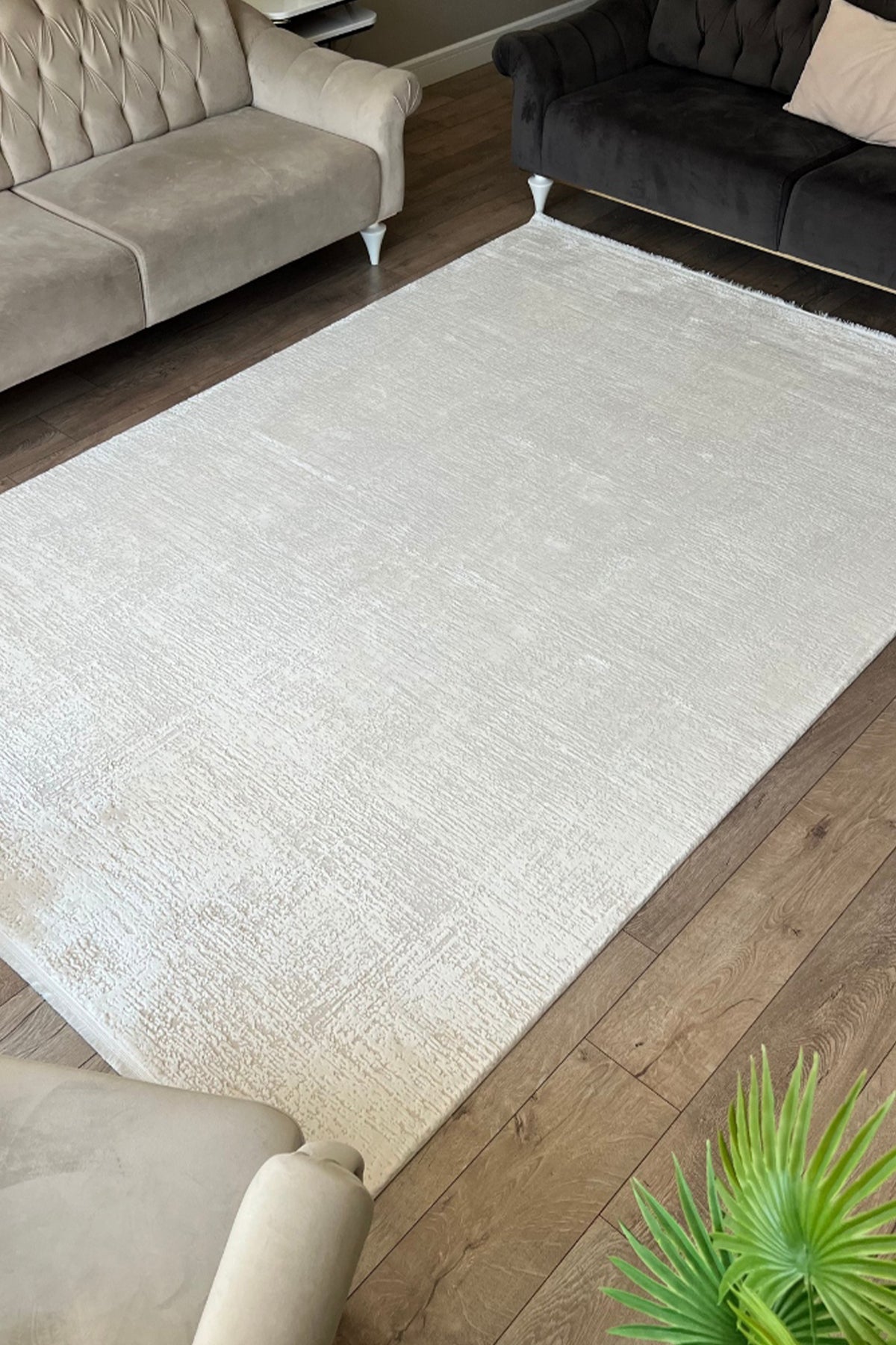 Truva 6641 Krem - Modern Akrilik Salon Halısı